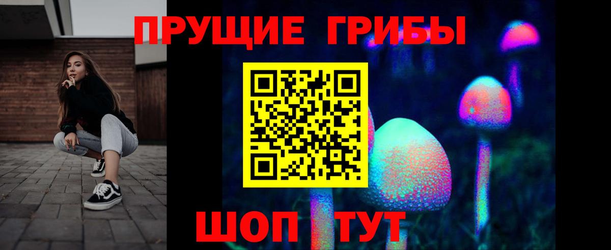 Алатырь  Псилоцибиновые грибы мицелий  Вход с VPN  Галлюциногенные грибы ЛСД 